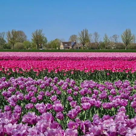 582 Op Recreatiepark De Wielen シャレー シント・マールテン