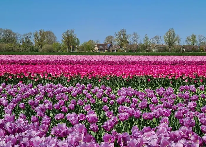 582 Op Recreatiepark De Wielen Alpstuga Sint Maarten